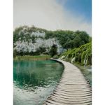 Moment Fisheye 8mm Mobile Lens II - T-Series -  Vlogging-Mobile Photography στο Twiinshop