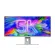 Alogic EDGE 40" LCD 5K Monitor with 90W PD Silver -  Alogic στο Twiinshop