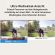 AOSU Smart Security Video Doorbell R1 Ultra -  Security/ Camera στο Twiinshop